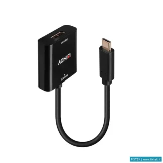 Adattatori Lindy Lindy Converter USB Di Tipo C A Displayport 4K144
